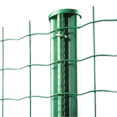 ISO9001 PVC المغلفة هولندا شبكة أسلاك السياج ارتفاع 60 سم إلى 200 سم نوع اليورو