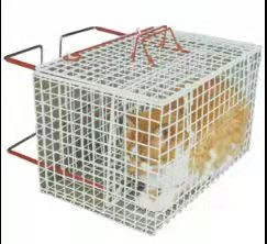 2mm شبكة سلكية في الهواء الطلق المعادن البلاستيكية المغلفة المجلفن قفص عرض الحيوانات الأليفة