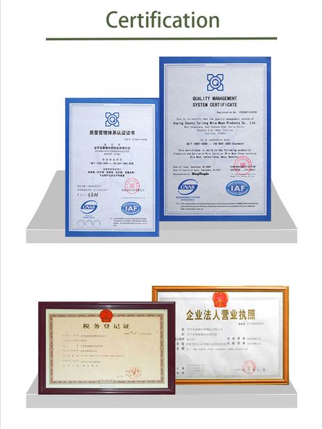 الصين Anping Tailong Wire Mesh Products Co., Ltd. الشهادات