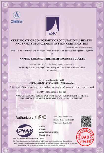 الصين Anping Tailong Wire Mesh Products Co., Ltd. الشهادات